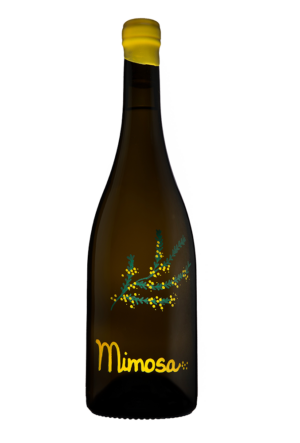 Mimosa 21